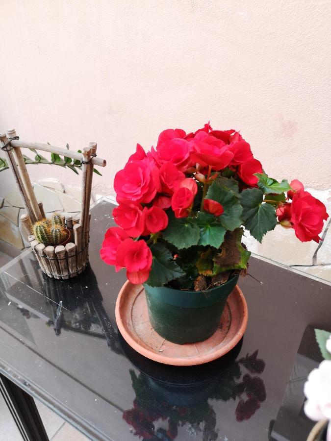 كاتانيا B&B Casa Valeria المظهر الخارجي الصورة